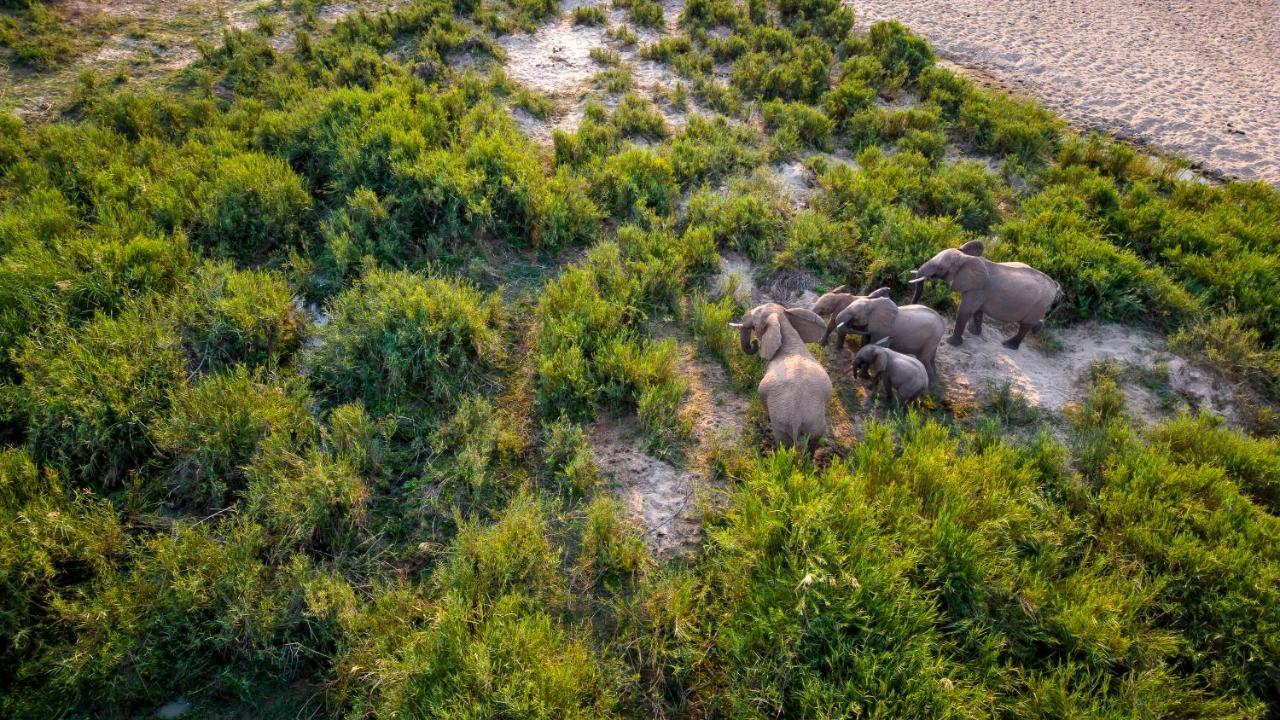 Buckler'S Africa Lodge Kruger Park Komatipoort Exterior foto